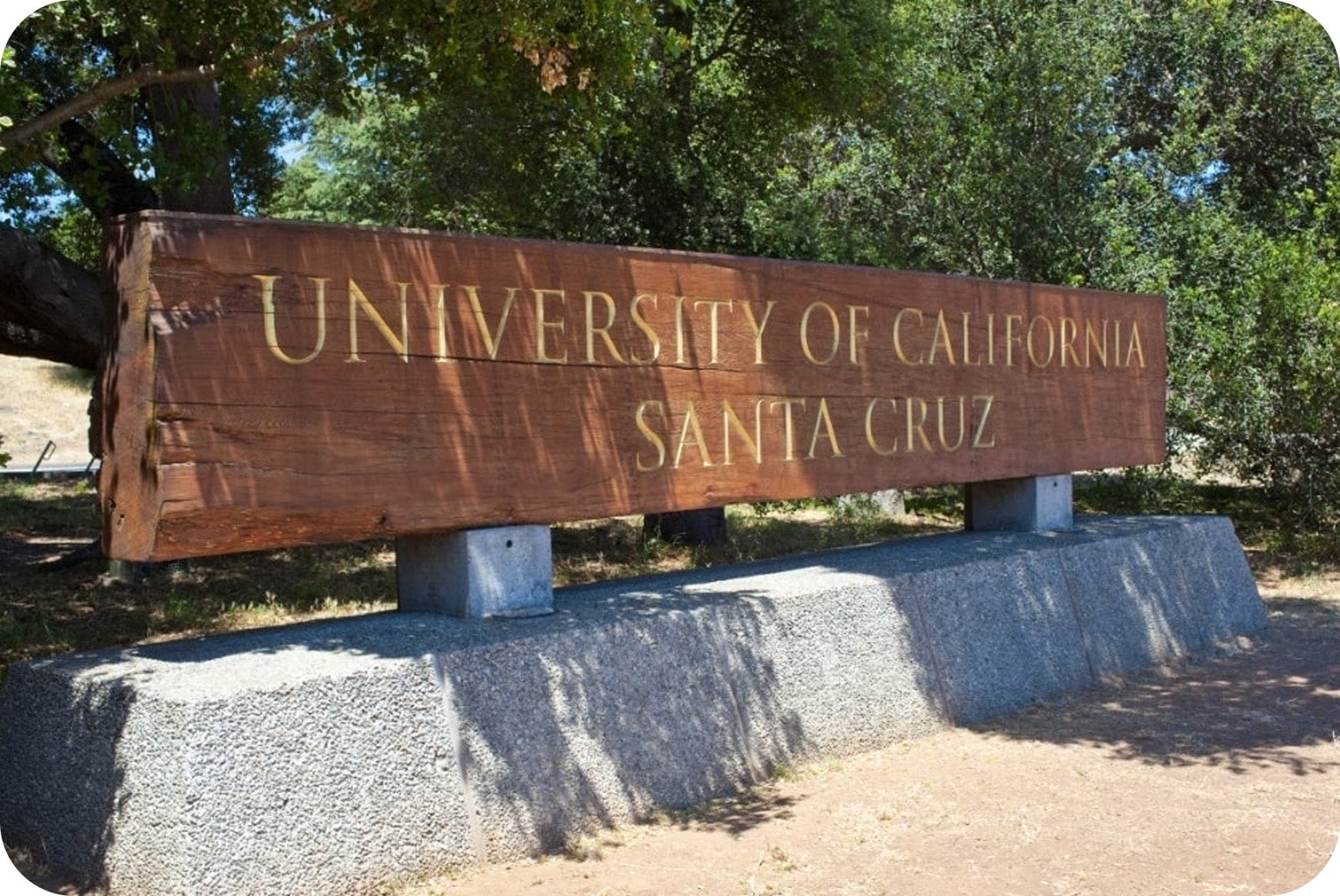 Gus Hansen's college (UCSC)